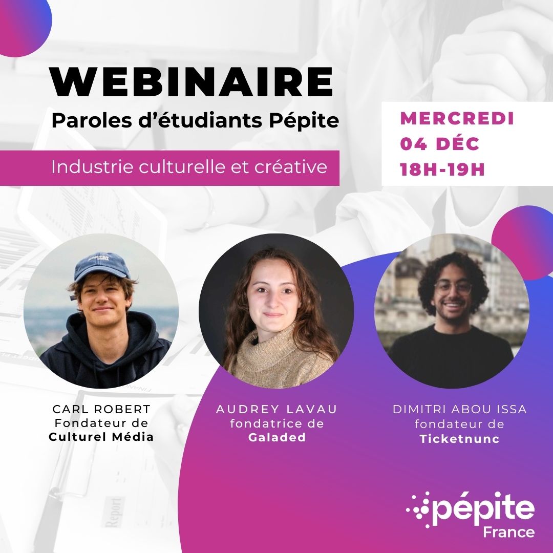 Webinaire Industrie culturelles du 4 décembre 2024